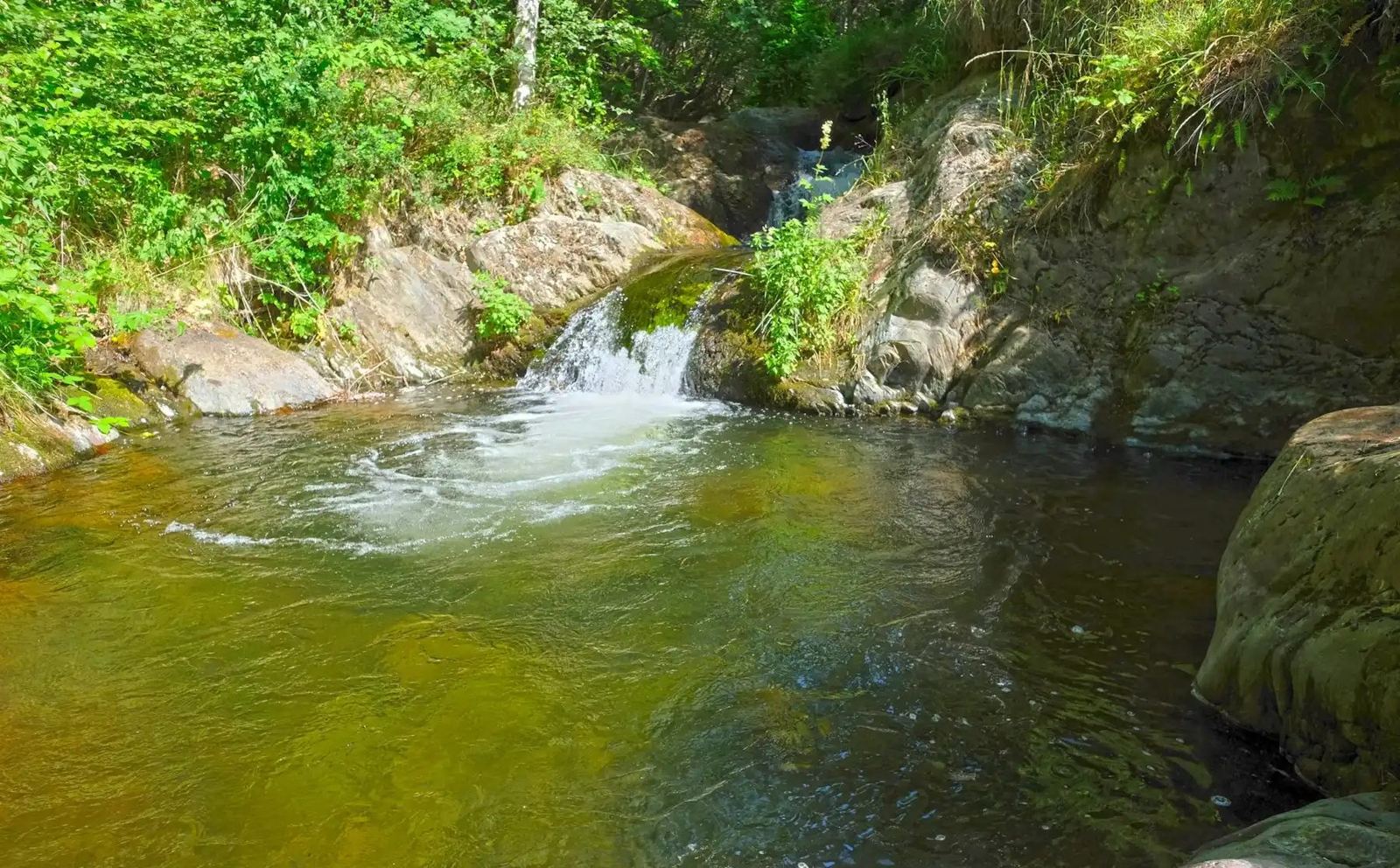 Été : Petite cascade et vasque d’eau claire